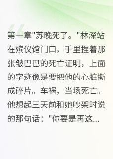 她在自己葬礼上看我哭全文目录-林深苏晚小说无弹窗阅读