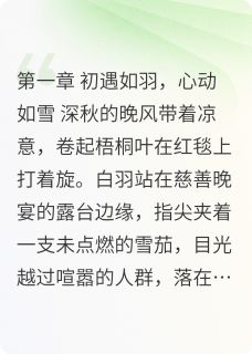 抖音风雪同舟，羽落归巢txt小说阅读