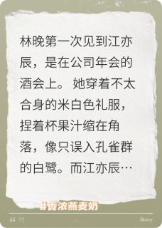 晚风拂过旧巷林晚江亦辰全章节完结版在线阅读