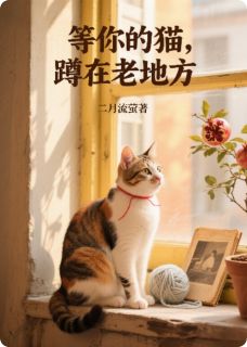 等你的猫，蹲在老地方未删减阅读