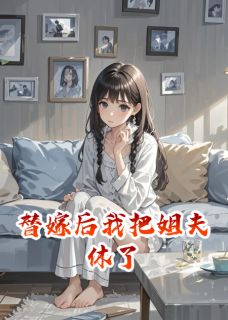 最新小说替嫁后我把姐夫休了主角贺墨白婉汀李明哲全文在线阅读