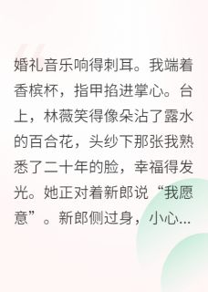 高质量小说闺蜜误嫁给我前夫后在线试读