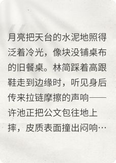抖音在天台接住月亮txt小说阅读