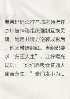 新上灵魂借贷：我和顶流互换人生勤劳勇敢快乐的小蜜蜂小说免费阅读