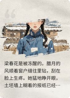 离婚后，我的日子亮了无广告阅读 梁春花王建军免费在线阅读