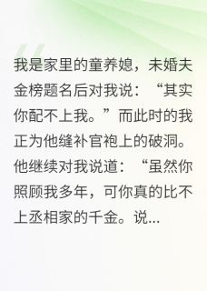 沈辞舟柳玉容小说全文免费阅读我净身出户后状元郎全家追悔莫及全文免费阅读