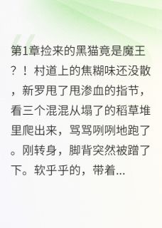 新罗毛毛小说全文免费阅读勇者捡到黑猫成为女王拿下魔王全文免费阅读