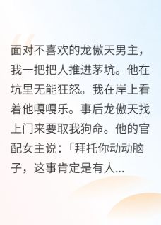 快手热文龙傲天与傻子修二代二三事龙傲天江洵小说推荐