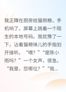 顶流为我隐婚十年南宫澹陈小雨无广告在线阅读