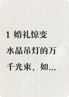 葬礼才是我的婚礼(新书)小说_顾泽宇林薇阅读