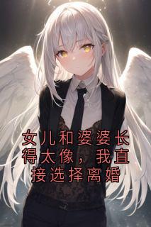 独家女儿和婆婆长得太像，我直接选择离婚全本大结局小说阅读