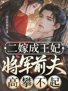 良心推荐二嫁成王妃，将军前夫高攀不起小说试读