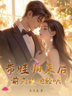独家带娃归来后，前夫跪地轻哄小说-主角安宁陆西宴全文免费阅读