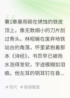 林昭苏晚陈砚小说全文免费阅读锈蚀微光全文免费阅读