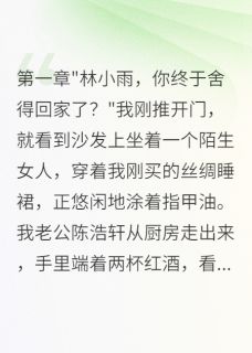老公出轨诈骗，离婚后我年入百万章节目录小说-陈浩轩雨婷免费阅读全文