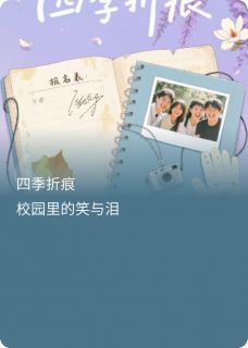 四季折痕陶桃夏阳苏晚小说全文章节阅读