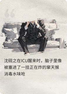 沈砚之陆时衍小说失忆后我把死对头当老公免费阅读