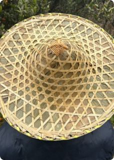 70灾荒年，我有空间通菜场小说(完结)-王桂香张翠兰杨建民无删减阅读
