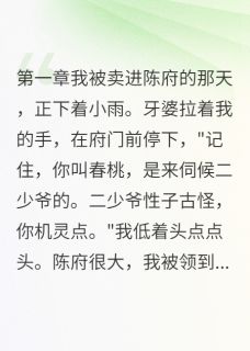 那个会发光的小丫鬟by张大三小说完结版在线阅读