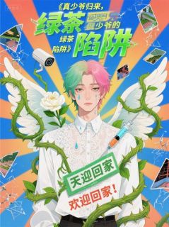 免费完结小说真少爷归来，假少爷的绿茶陷阱！林北辰苏沐晴无弹窗免费阅读