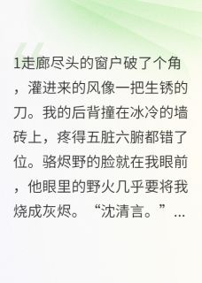 月落时吻你完整版-骆烬野林宇泽沈清言在线全文阅读