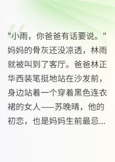 林雨苏晚晴全文最新章节正版小说免费阅读