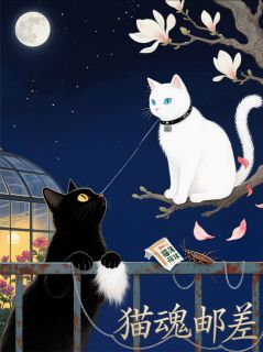 猫魂邮差小说免费版阅读抖音热文