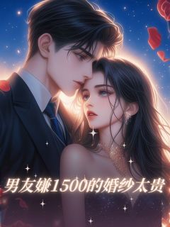 （全本）男友嫌1500的婚纱太贵主角文豪小洁苏雅全文目录畅读