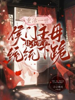 快手热推重活一世，侯府主母让不孝子统统跪下小说主角乔婉江砚在线阅读