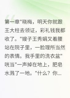 抢要下乡名额后我逆袭成大学教授晓梅李大山小说_抢要下乡名额后我逆袭成大学教授完结版阅读