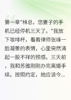假离婚后妻子消失，带走全部身家免费小说作者梧桐叶落卿不归全文阅读