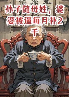 林晓芸周立诚小说孙子随母姓,婆婆被逼每月补2千免费阅读-随缘阅读网