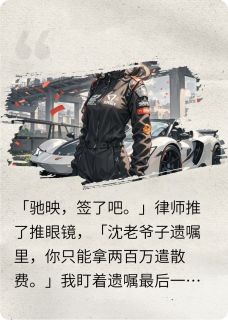 驰映沈晏屿林薇薇退婚夜，我成了沈氏股东完结版小说全文免费阅读