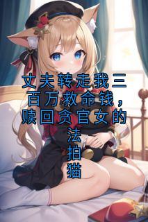 快手热推丈夫转走我三百万救命钱，赎回贪官女的法拍猫小说主角陆媛周泓宇在线阅读
