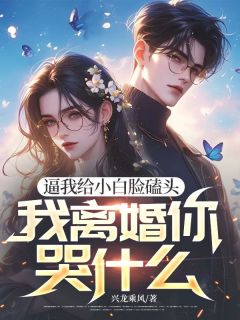 司锦年季晨主角小说逼我给小白脸磕头，我离婚你哭什么抖音文免费阅读全文-随缘阅读网