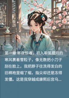 熬夜也要看完的酸梅汤与凤冠：我的清宫逆袭路小说推荐