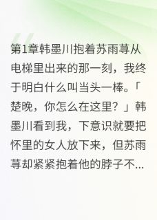 抖音小三上位梦碎，我成最大赢家txt小说阅读