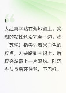 小说婚戒未戴：他消失在新婚夜主角为陆沉舟林峰免费阅读