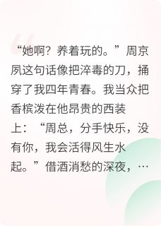 免费试读主角沈京肆周京夙小说