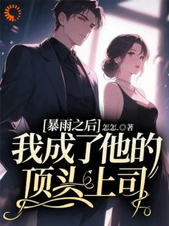 暴雨之后，我成了他的顶头上司(林夏陆沉舟)全文章节在线阅读