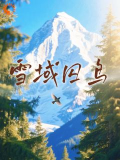 (抖音)她去支教，却撞上霸总硬核求爱 主角叶心心丹增晋美