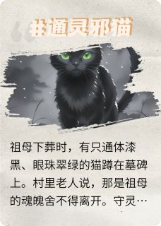 书荒必备黑猫老赵小说