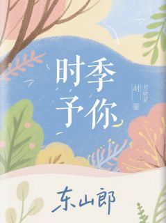 时季予你林晚沈时-小说txt全文阅读