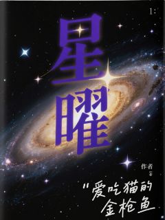 星曜(新书)大结局在线阅读
