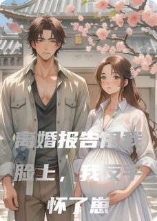 无弹窗小说离婚报告甩我脸上，我反手怀了崽 作者黑龙帝国的米罗
