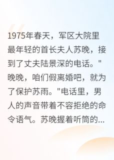 重回七五和我假离婚是为了白月光小说(完结版)-苏晚陆景深苏雨在线阅读