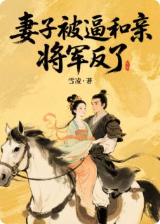 (抖音)妻子被逼和亲，将军反了阿徊赵武小说免费全文阅读