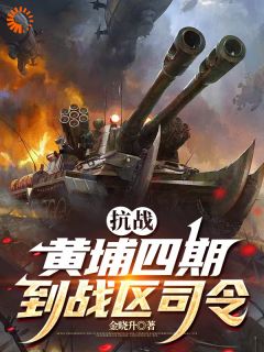 快手热文抗战：黄埔四期到战区司令秦景安唐孟潇小说推荐