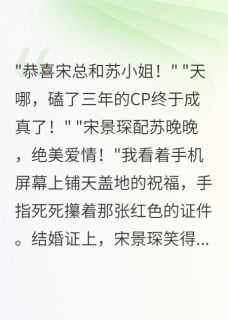 宋景琛小音苏晚晚全本小说 老公官宣别人，我直播晒证书全文免费在线阅读