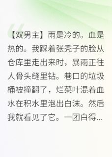 冷血杀手捡到狐神后，真香了在线阅读 白璃金瞳免费小说精彩章节-随缘阅读网